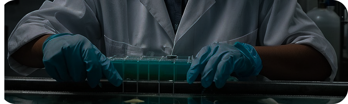 Pruebas de laboratorio